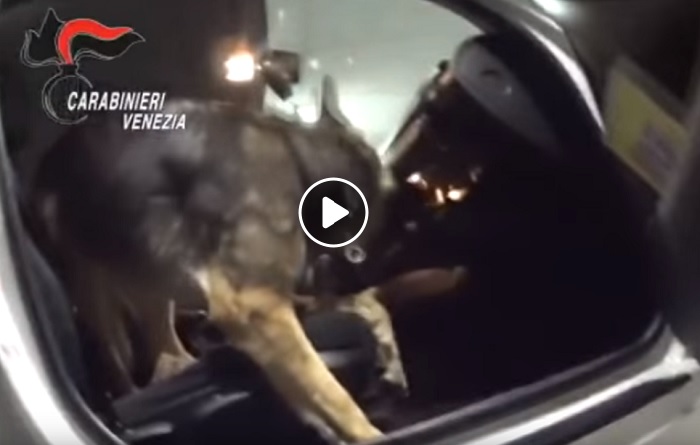 Blitz per stanare i pusher dell’eroina killer a Mestre con 13 arresti e 110 clienti segnalati