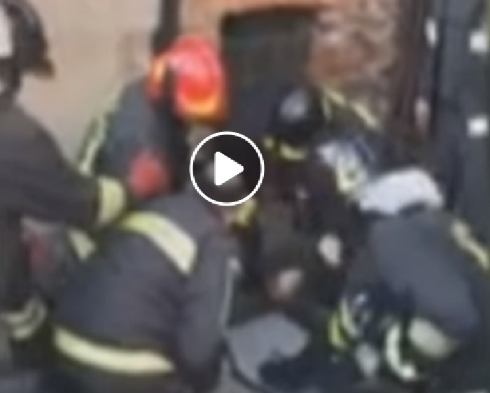 Cane intrappolato nel tombino: i Vigili del fuoco lo salvano