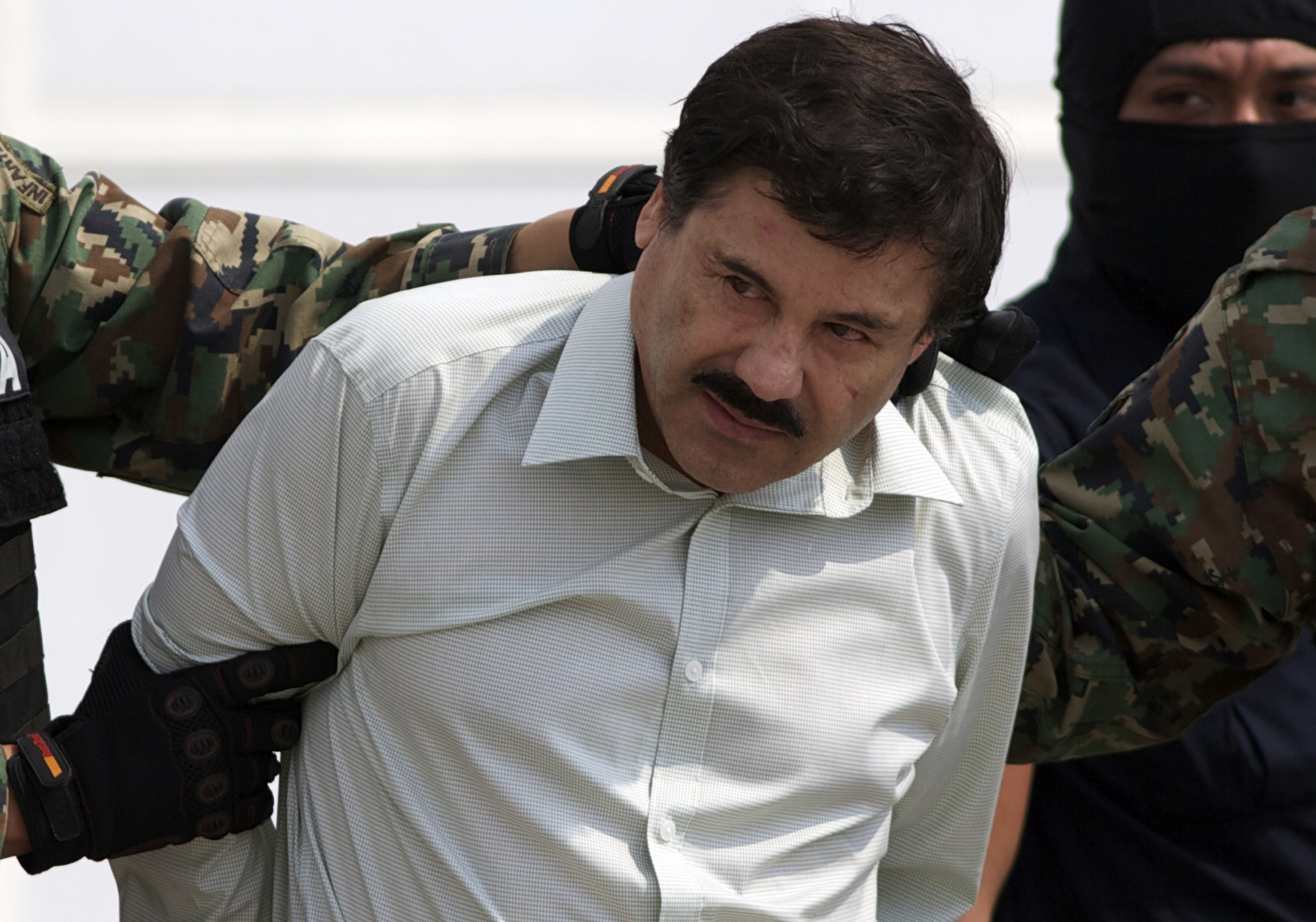 el chapo