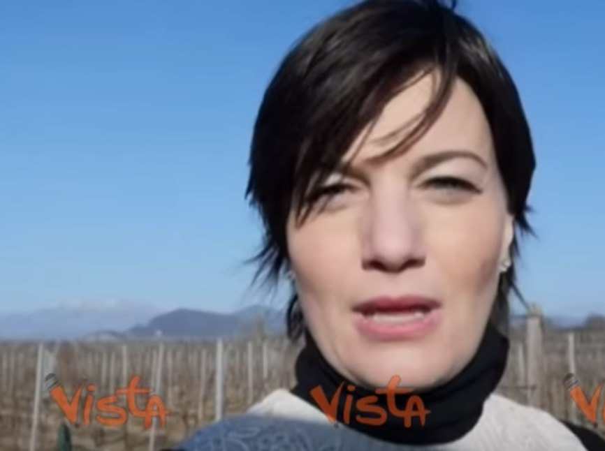 Lara Comi: "Basta insulti sui social. Adesso pubblicherò nomi e cognomi" VIDEO