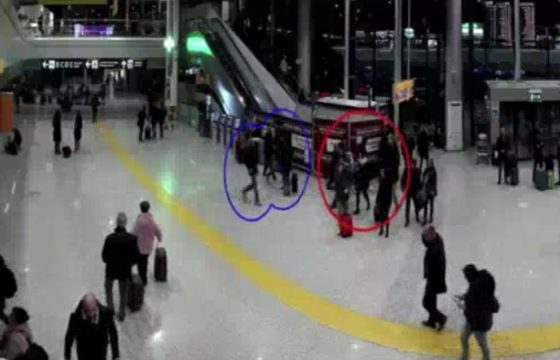 Aeroporto Fiumicino, prova a rubare borsa a coppia di francesi: arrestato