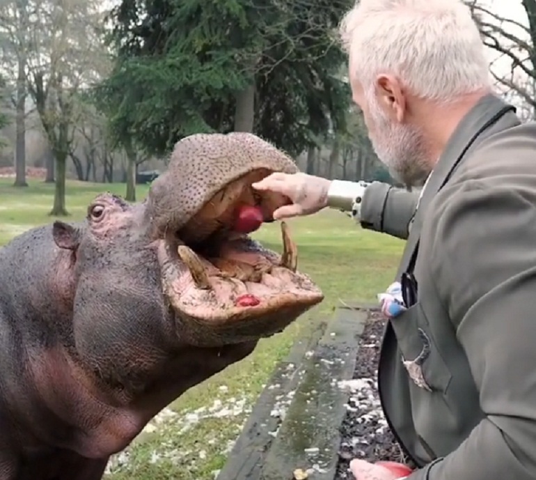 Gianluca Vacchi e il video con l'ippopotamo. In villa arrivano i forestali