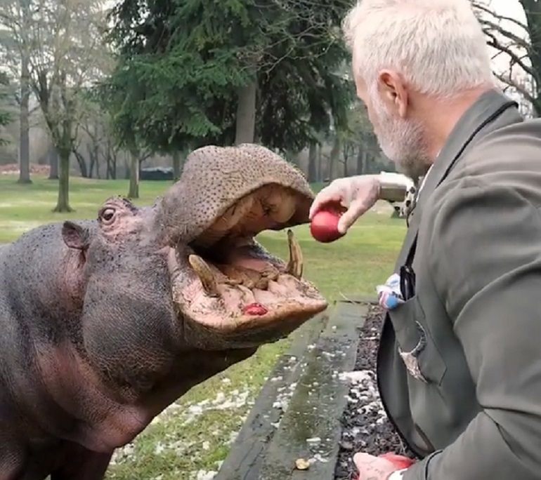 Storie Italiane, Leopoldo Mastelloni contro Gianluca Vacchi: "E' un imbecille"