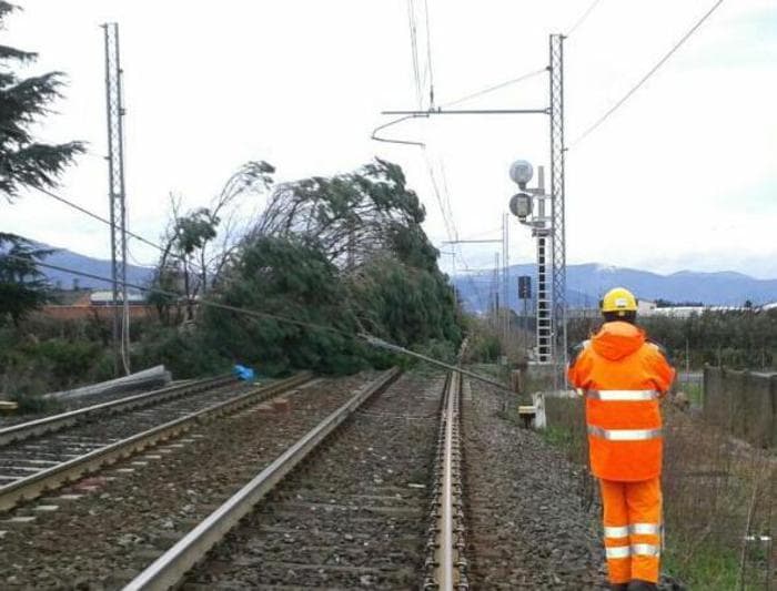 Incendio sui binari vicino a Cosenza: circolazione treni in tilt. Ritardi fino a 13 ore