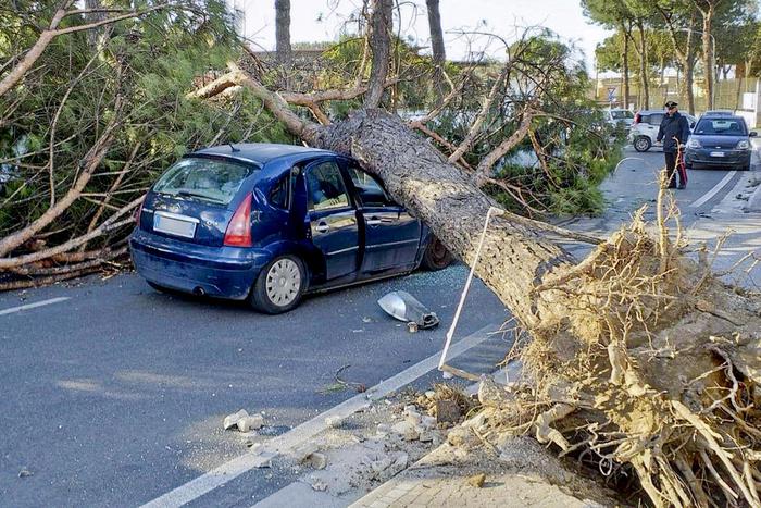 Roma, troppo vento: albero cade su un taxi: viale Trastevere bloccato