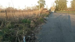 Tor di Valle, area sotto sequestro per rifiuti sparsi10