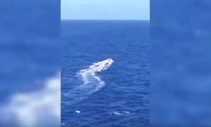 Caraibi salvataggio mare