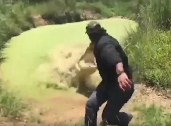 cococdrillo australia