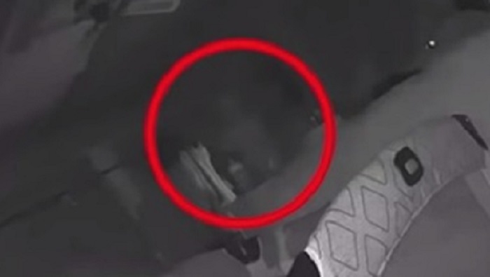 Bimba graffiata al volto: la telecamera installata sulla culla ripende un "fantasma"