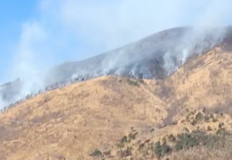 Valle di Lanzo, boschi a fuoco: sgomberate alcune case a Givoletto (Torino)