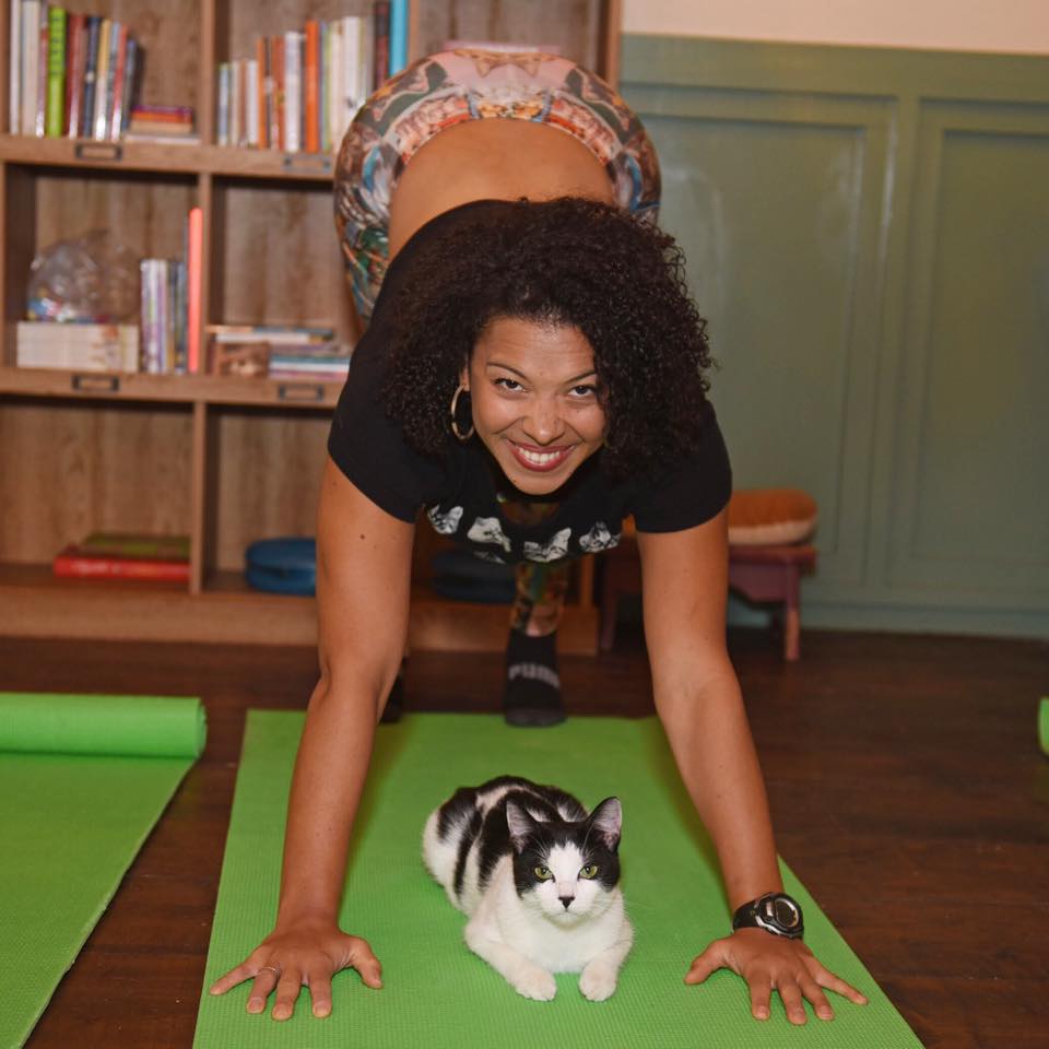 Lezione di yoga con gatti: l'ultima tendenza di New York