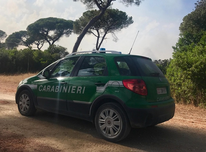 castel di guido caccia