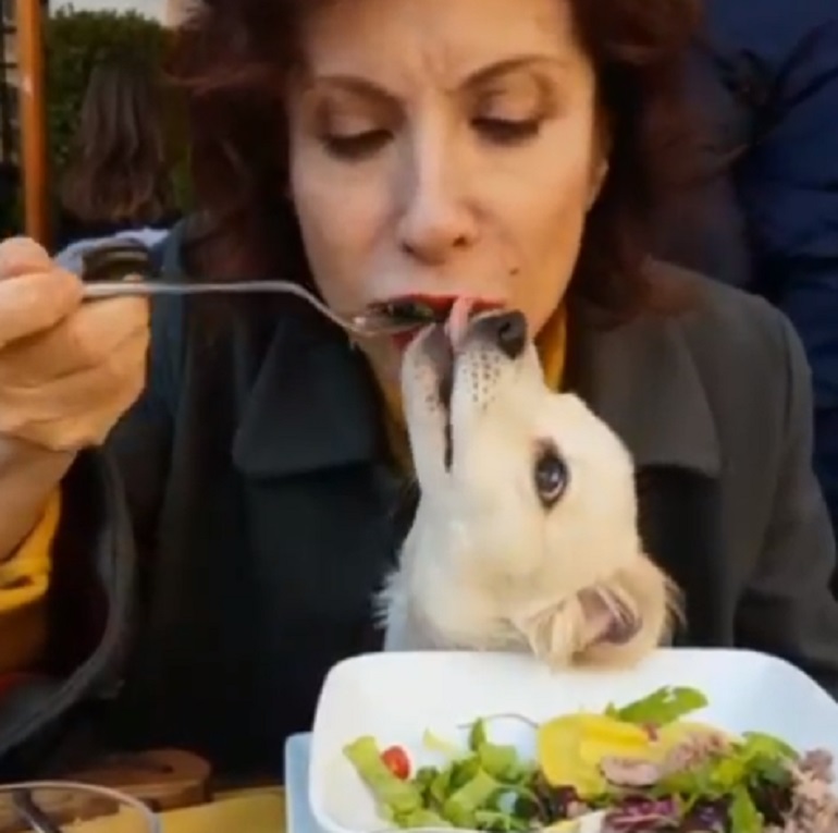Alda D'Eusanio, il cane mangia con lei. Le critiche dei fan
