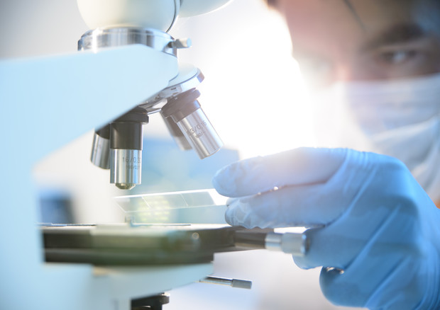 cancro 600 punti deboli