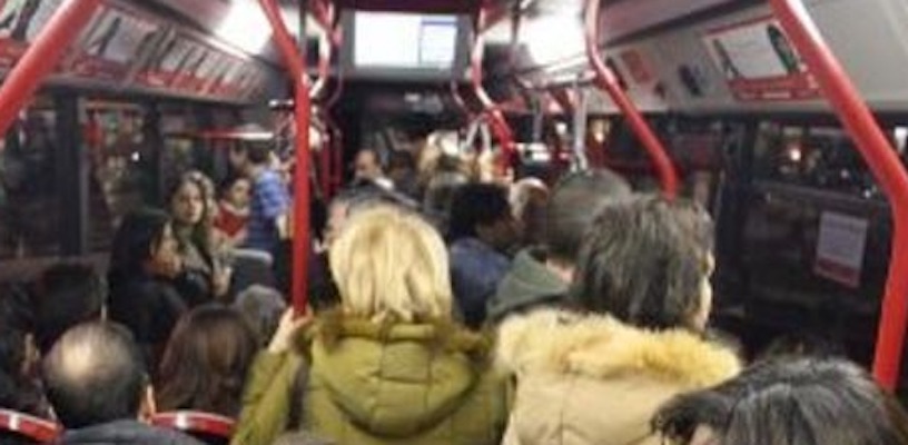 Verona, panico sul bus: "Ho una bomba nello zaino". Ma non è vero, arrestato cittadino dello Sri Lanka