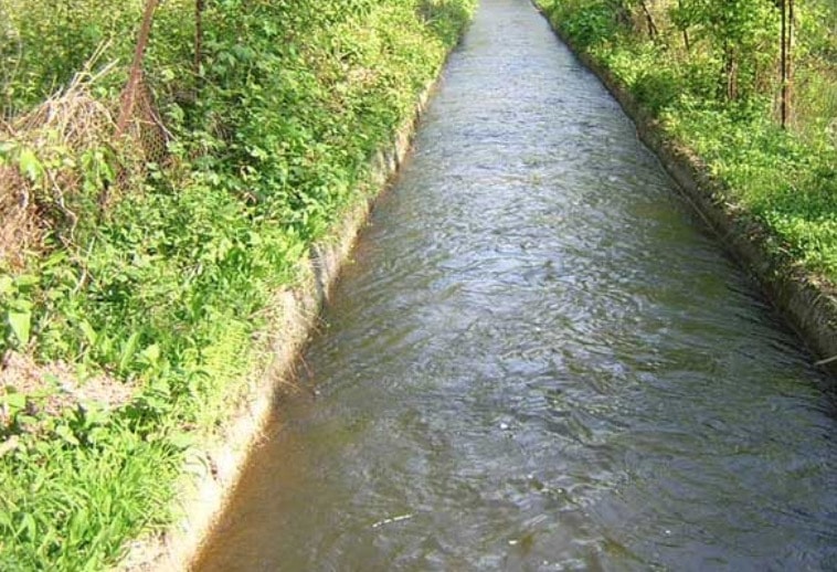 Cuneo, si butta nel canale per salvare il cane ma muore annegata