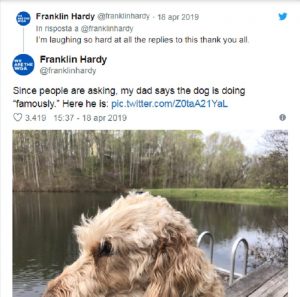 Cane malato assiste al padrone che gli scava la fossa