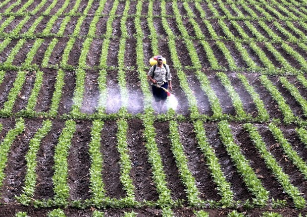 Glifosato, studio Usa: danni alla salute per tre generazioni