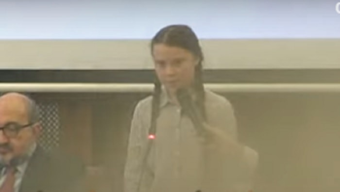 Greta Thunberg, Senato