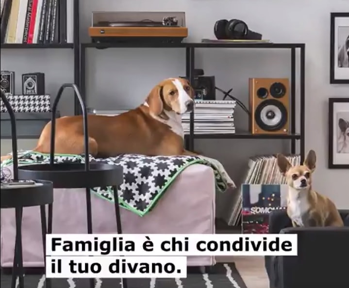 ikea spot famiglie