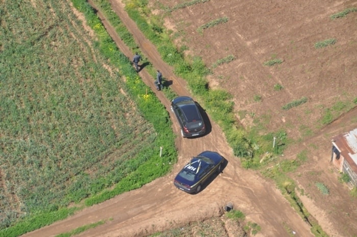 Braccianti inventati, disoccupati finti. 10? 100? Mille nella sola Locride