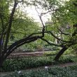 FuoriSalone, The Circular Garden: l'installazione diffusa per Eni all'Orto Botanico di Brera 3