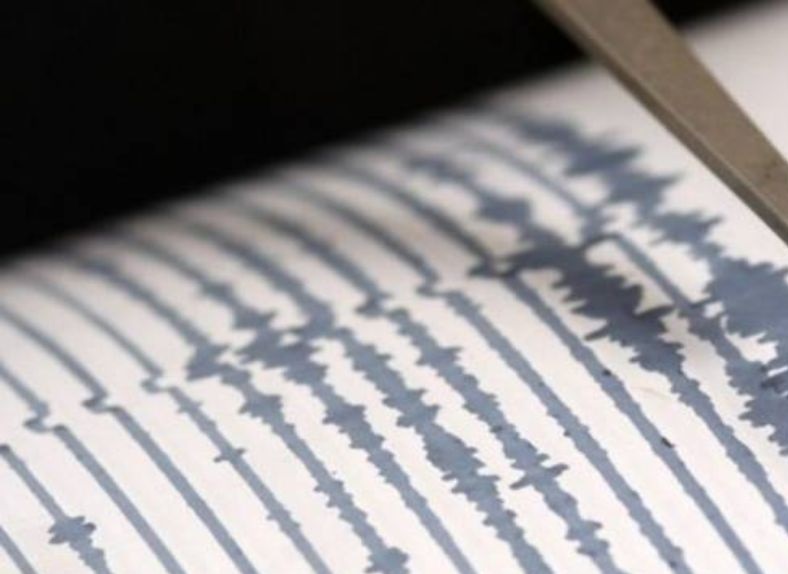 Terremoto Reggio Calabria, scossa di magnitudo 2,9. Epicentro a Cardeto