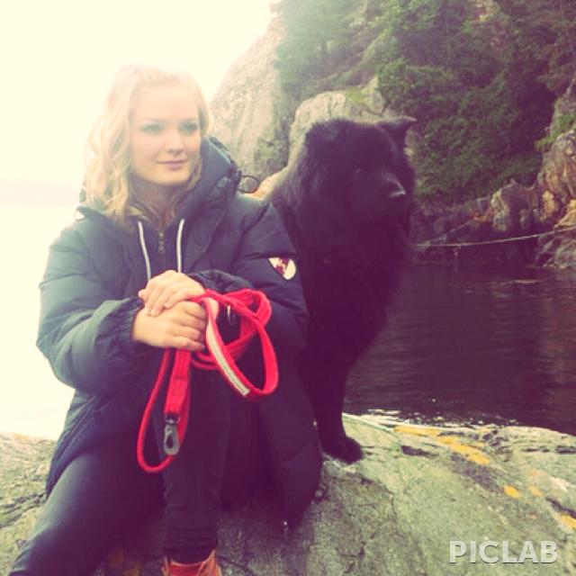 filippine cane rabbia