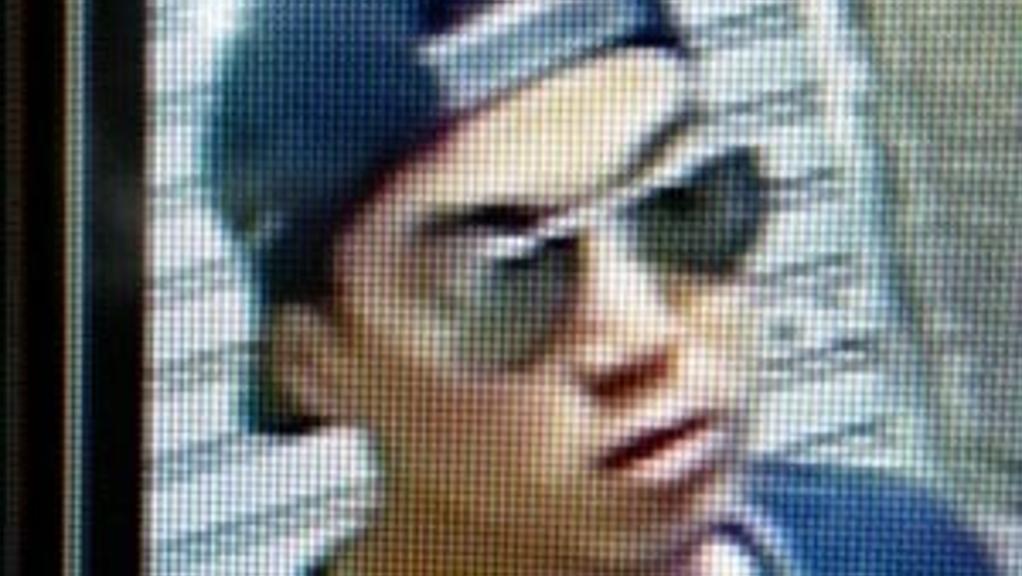 viterbo norveo fedeli