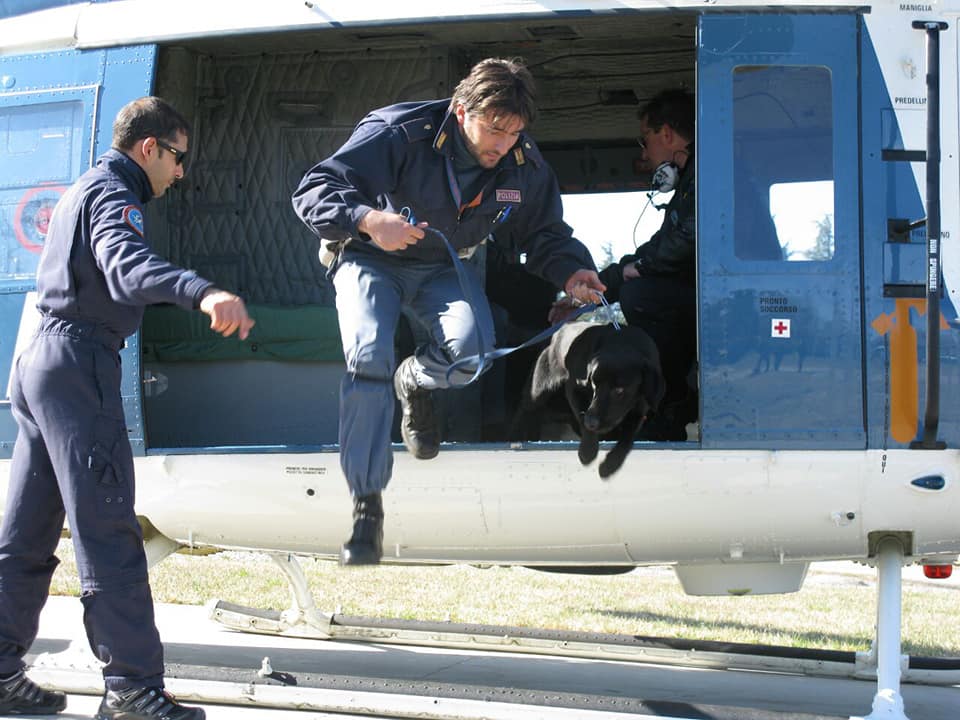 cane poliziotto gino