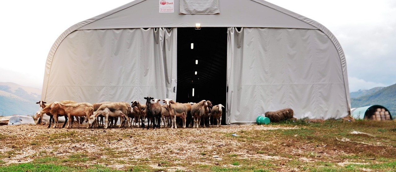Terremoto in centro Italia, Alleva la speranza di Enel e Legambiente: i 4 nuovi progetti di giovani imprenditori