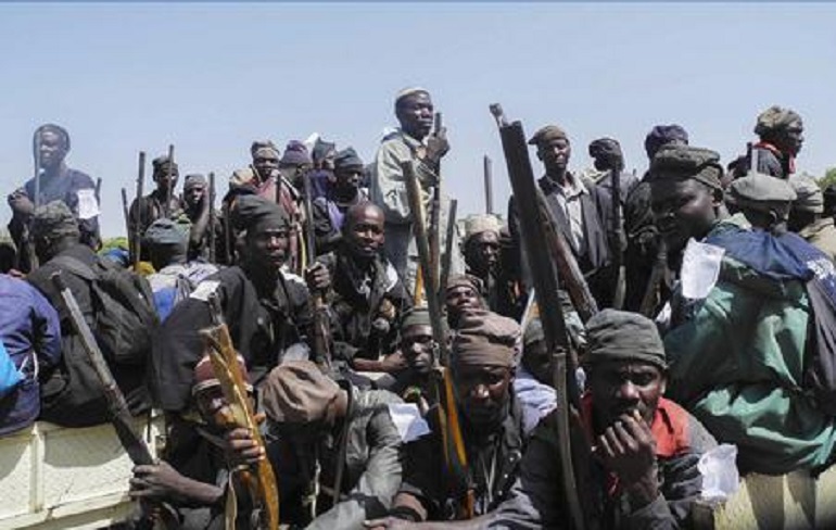 Ciad, la storia di Halima: "Ecco come sono diventata una terrorista di Boko Haram" (foto Ansa)