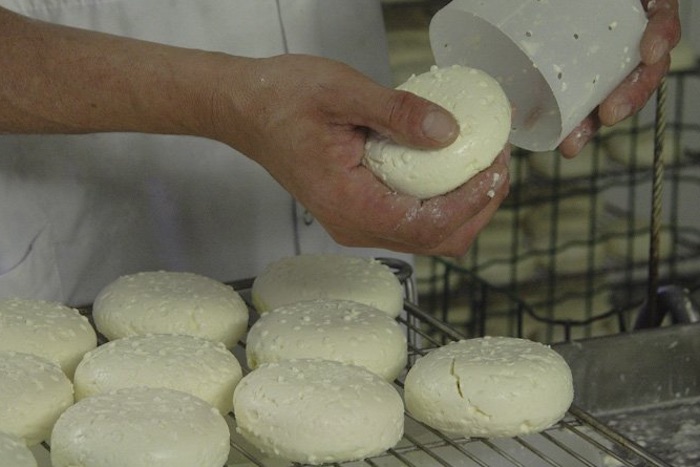 Formaggi francesi con latte crudo. L'allarme del ministero: "Non mangiateli, rischio Escherichia Coli"