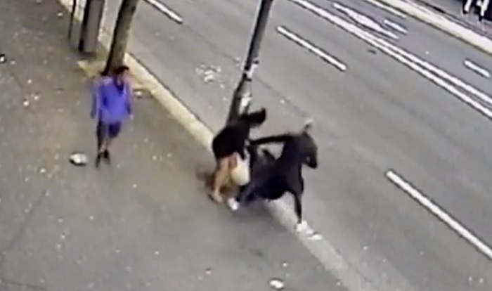 sydney donna incinta