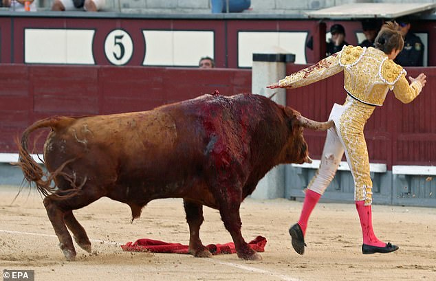madrid torero incornato