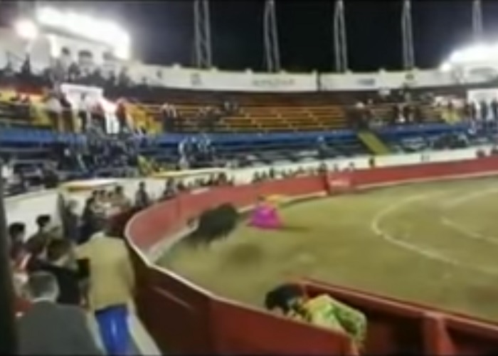 torero corrida