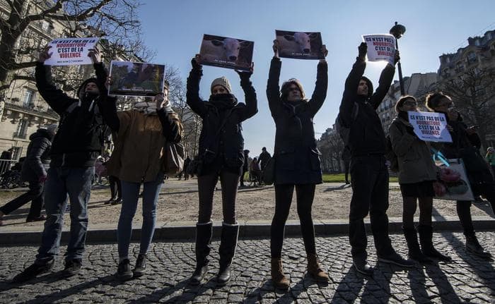 Parigi, commando di vegani antispecisti aggredisce macellaio: pugni e vernice rossa