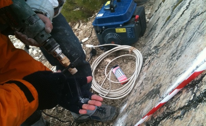 Terremoto di Roma: formiche e gatti lo avevano sentito? Il sesto senso degli animali...