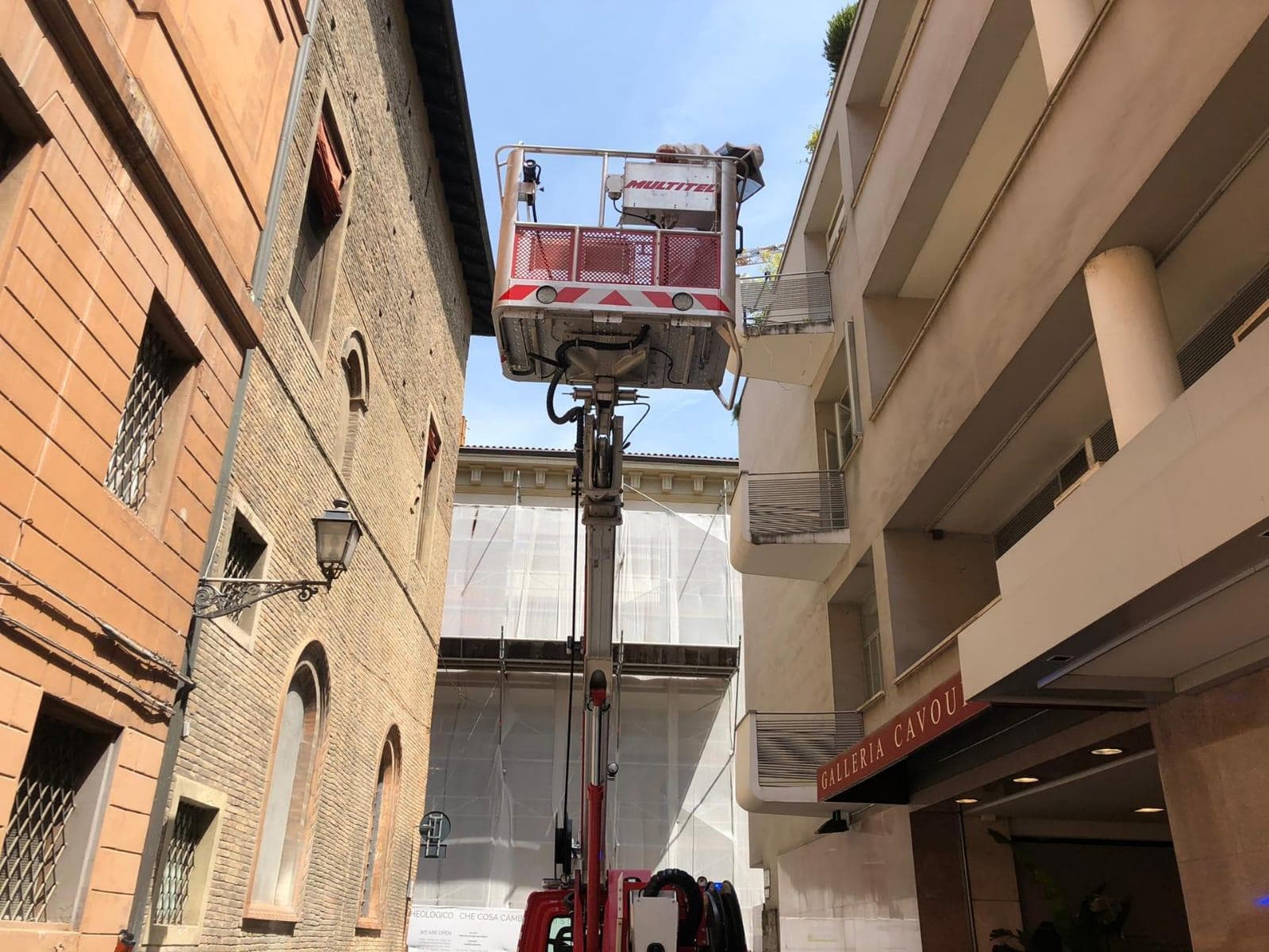 Api a Bologna, cavallette in Sardegna. "Così gli animali si adattano al clima"