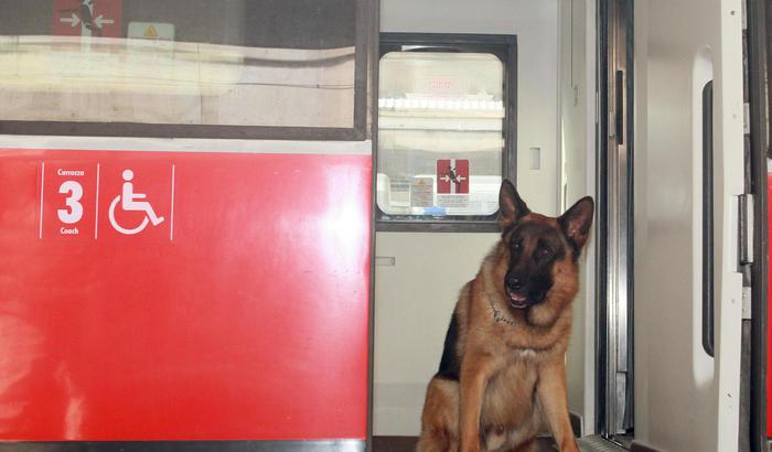 Cani e gatti sull'autobus: a Milano viaggeranno gratis. Cade l'obbligo di biglietto