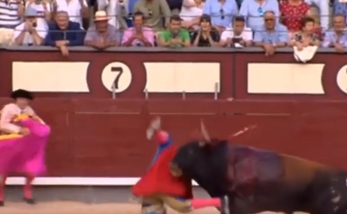 roman collado madrid