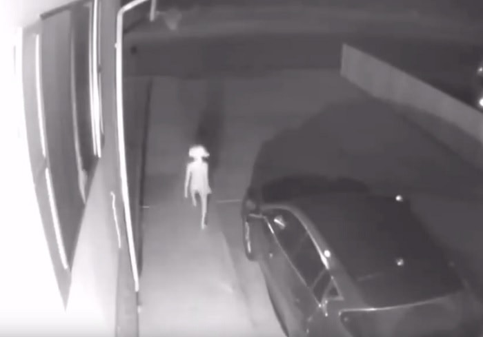 harry potter elfo dolly