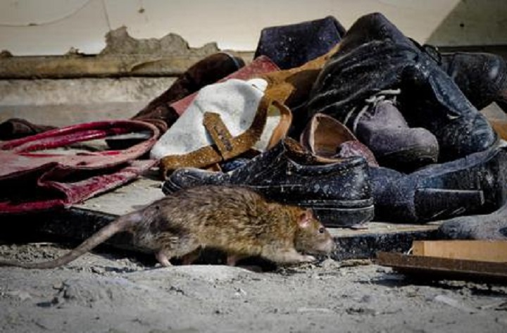 Madagascar, ressa in stadio: almeno 15 morti durante le celebrazioni dell'indipendenza (foto d'archivio Ansa)