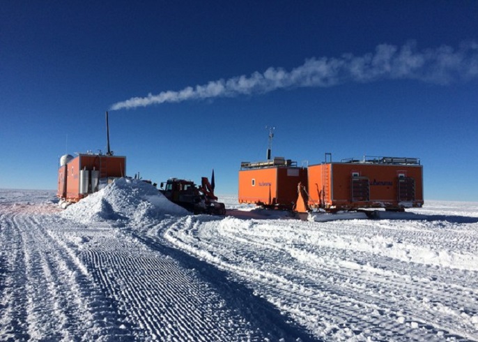 Siberia, ritrovata la testa di un lupo gigante vissuto 40mila anni fa (foto d'archivio Ansa)