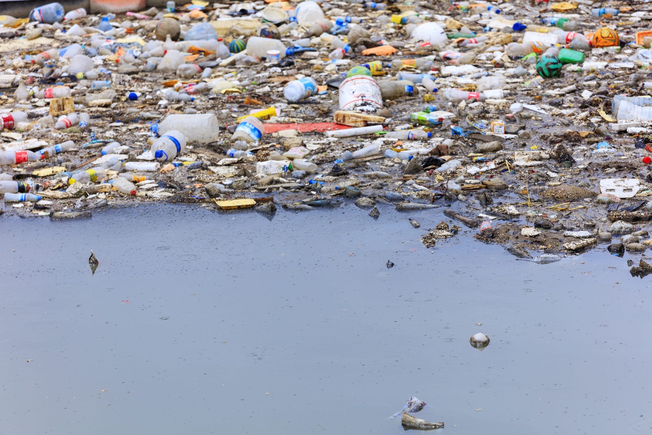Mar Tirreno, un'isola di rifiuti di plastica galleggia tra l'Elba e la Corsica, nel santuario dei cetacei