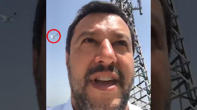 Salvini scappa dal Cdm per non rispondere a Tria: meglio un selfie dal tetto coi "gabbiani pterodattili" di Roma