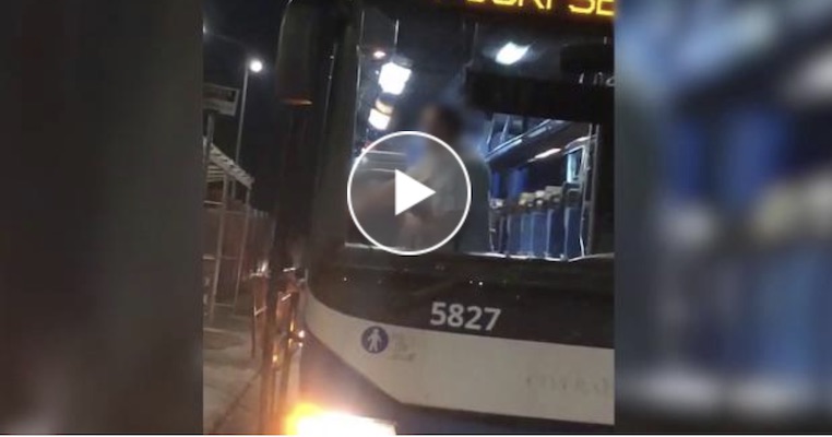 YOUTUBE Autista Cotral picchia immigrato per farlo scendere dal bus: rischia il licenziamento