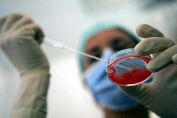 Fecondazione assistita post mortem: ok all'utilizzo degli embrioni congelati del marito deceduto