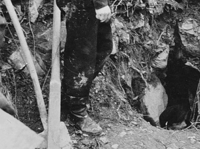 Foibe, ritrovati i resti del senatore Gigante e del brigadiere Diana. Gasparri: "Grande commozione"