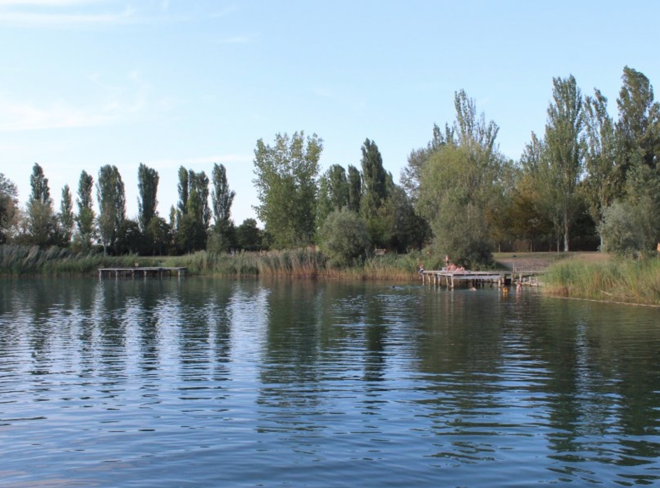 Portomaggiore (Ferrara), tredicenne si tuffa nel laghetto dell'agriturismo: è gravissimo